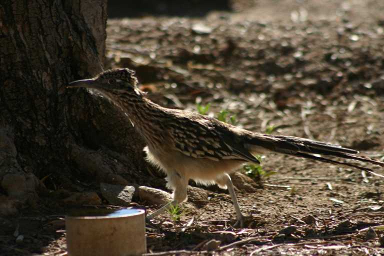 040922_GCLH_020.JPG (58007 Byte)