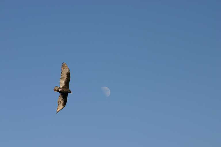 040922_GCLH_023.JPG (10248 Byte)