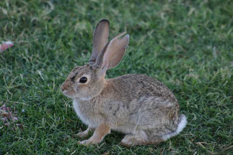 040923_LAHA_002.JPG (55798 Byte)