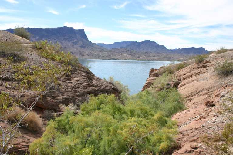 040923_LAHA_008.JPG (63740 Byte)