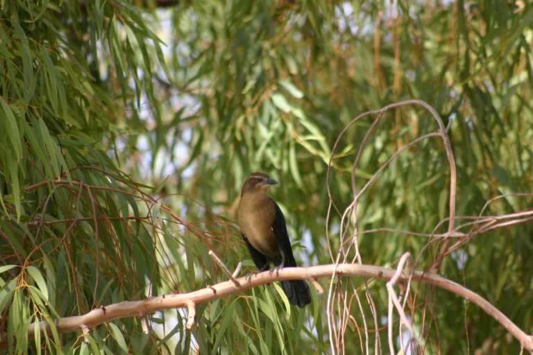 040923_LAHA_012.JPG (60647 Byte)