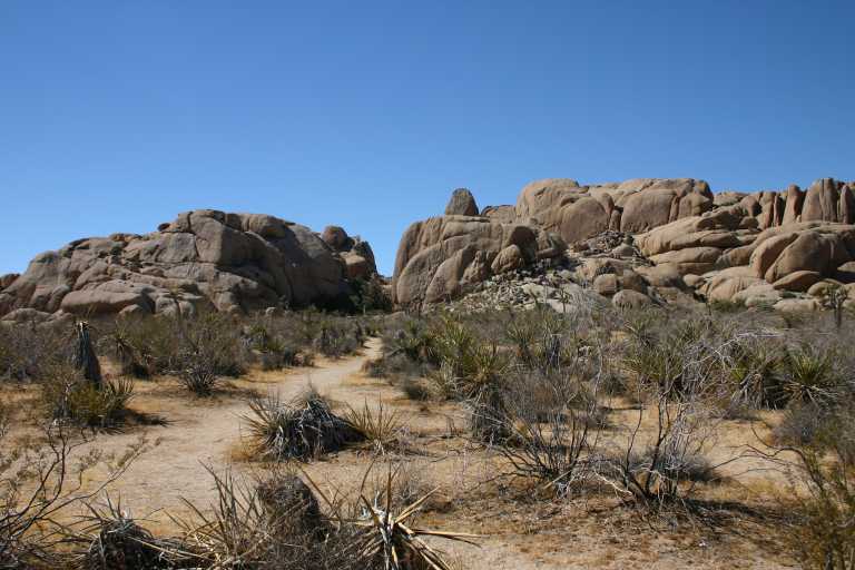 040924_LHJT_001.JPG (60641 Byte)