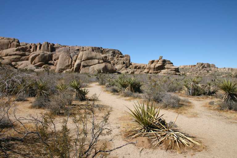 040924_LHJT_002.JPG (63676 Byte)