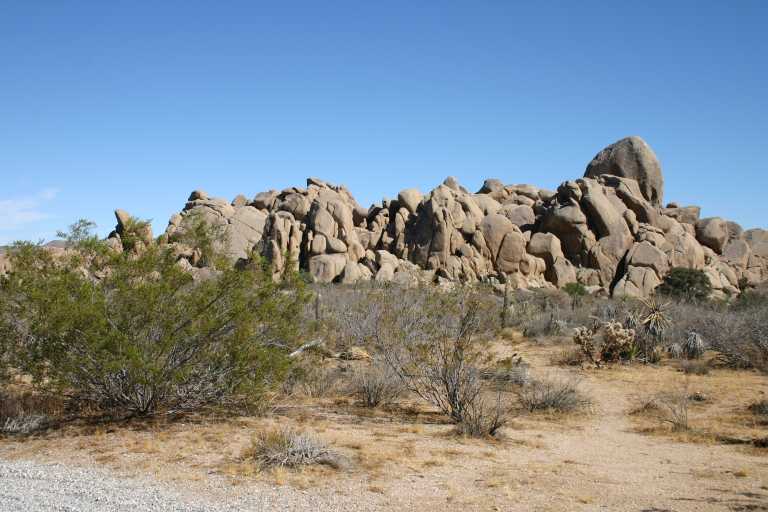 040924_LHJT_003.JPG (57887 Byte)