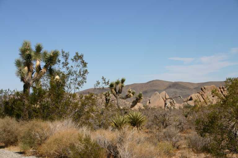 040924_LHJT_004.JPG (48787 Byte)