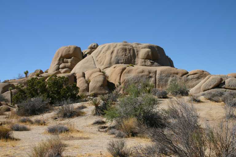 040924_LHJT_005.JPG (53824 Byte)