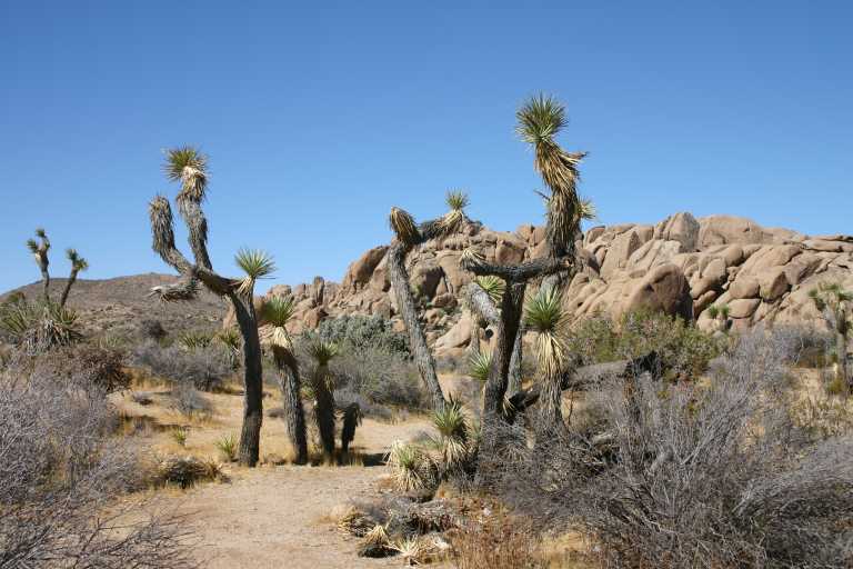 040924_LHJT_007.JPG (61809 Byte)