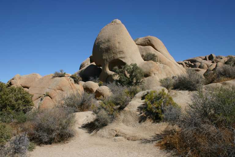 040924_LHJT_008.JPG (50838 Byte)