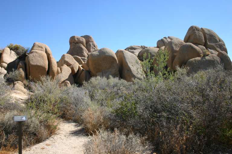 040924_LHJT_009.JPG (62208 Byte)