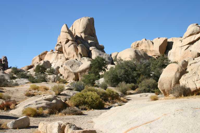 040924_LHJT_011.JPG (55813 Byte)