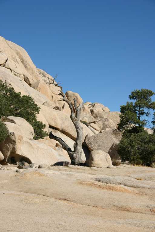 040924_LHJT_014.JPG (44176 Byte)