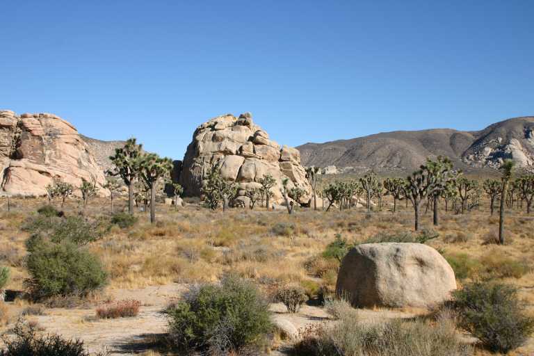 040924_LHJT_016.JPG (57416 Byte)