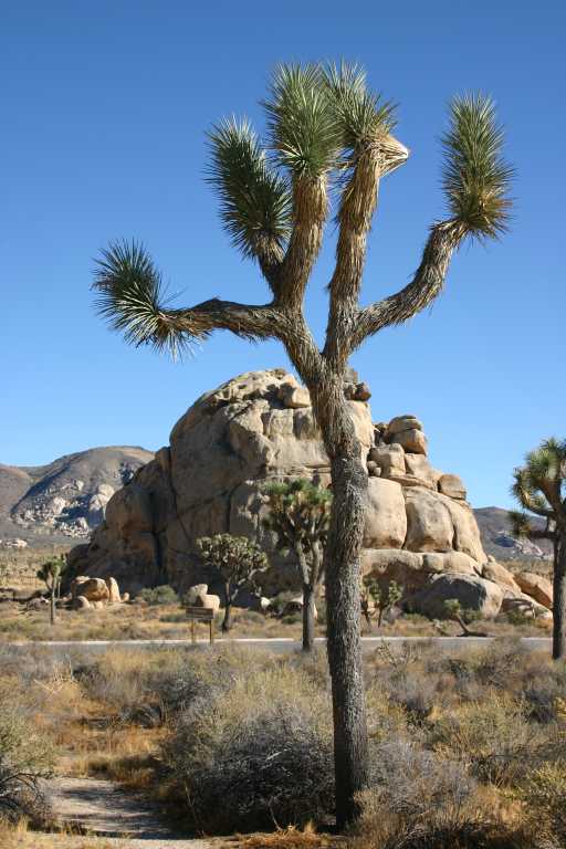 040924_LHJT_017.JPG (60833 Byte)