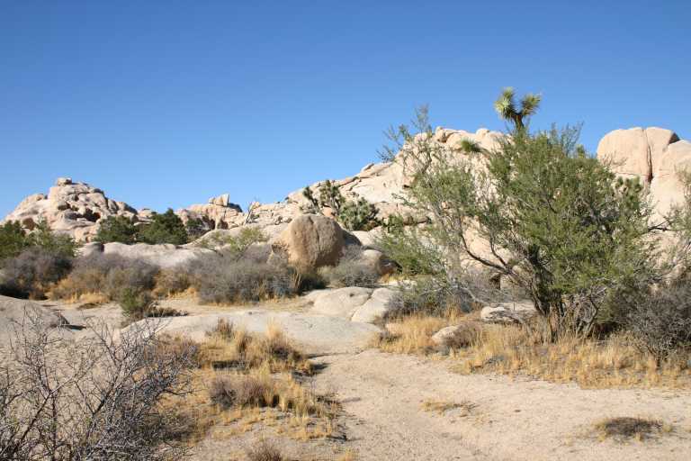 040924_LHJT_018.JPG (61381 Byte)