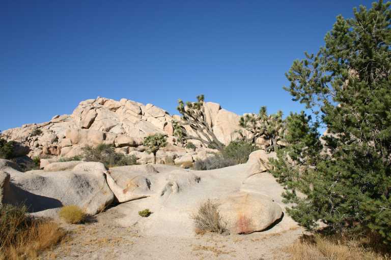 040924_LHJT_019.JPG (59098 Byte)