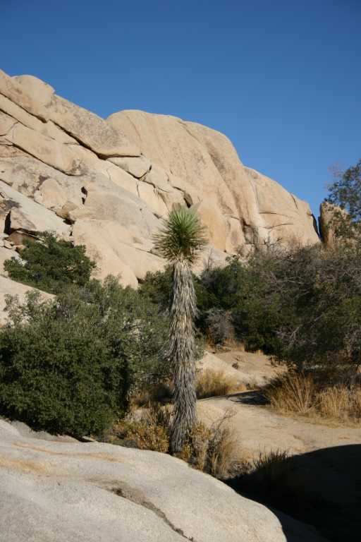 040924_LHJT_020.JPG (50341 Byte)