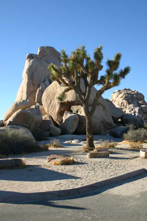 040924_LHJT_022.JPG (51428 Byte)