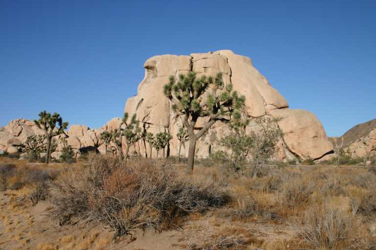 040924_LHJT_023.JPG (52904 Byte)