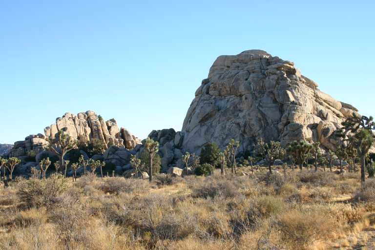 040924_LHJT_024.JPG (55124 Byte)