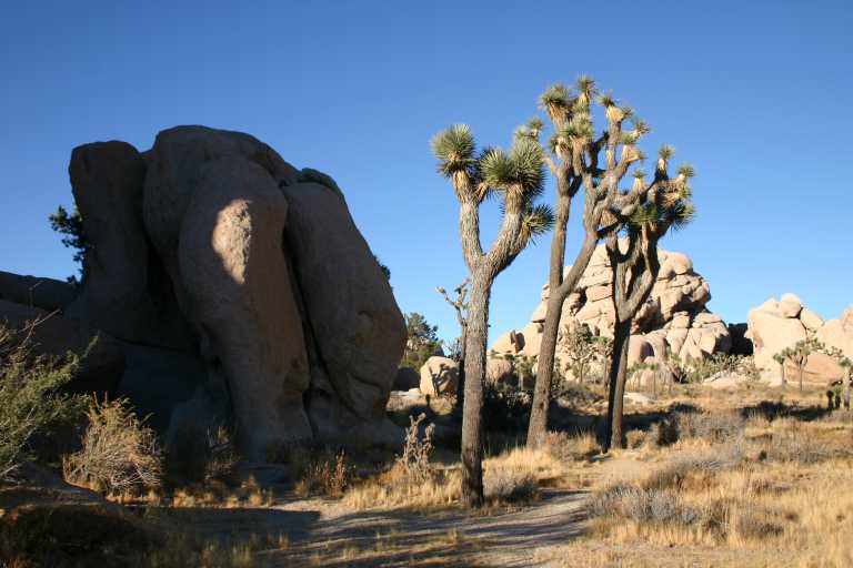 040924_LHJT_027.JPG (52213 Byte)