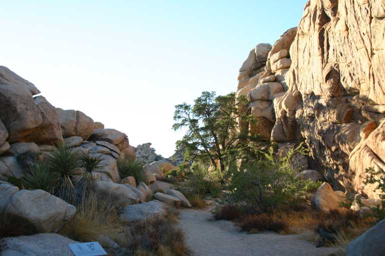 040924_LHJT_028.JPG (55446 Byte)