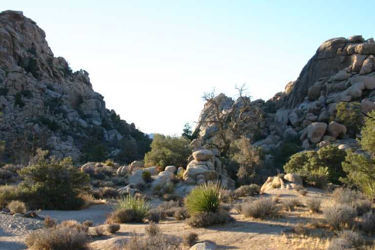 040924_LHJT_032.JPG (54716 Byte)