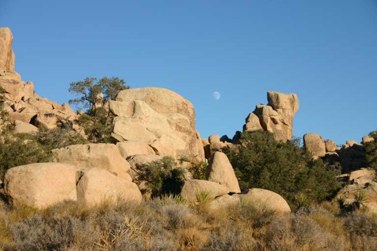 040924_LHJT_033.JPG (49238 Byte)