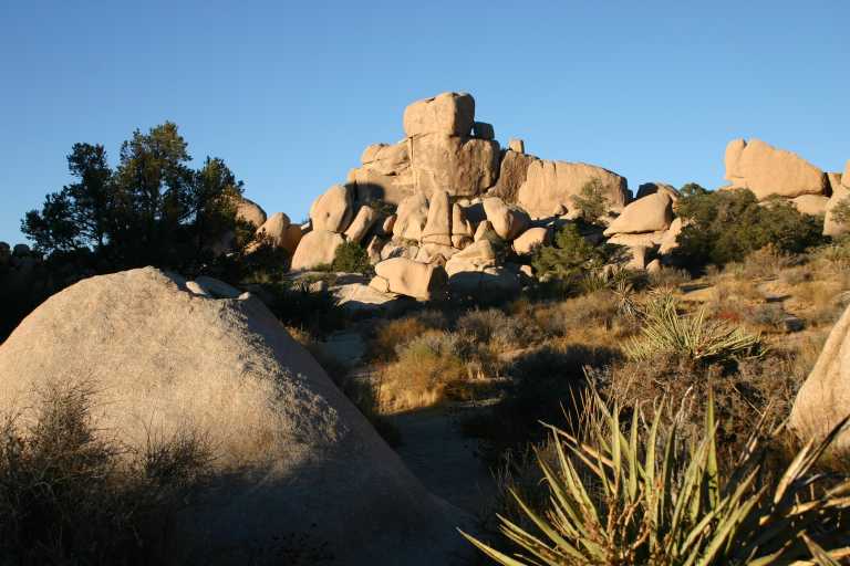 040924_LHJT_035.JPG (58589 Byte)