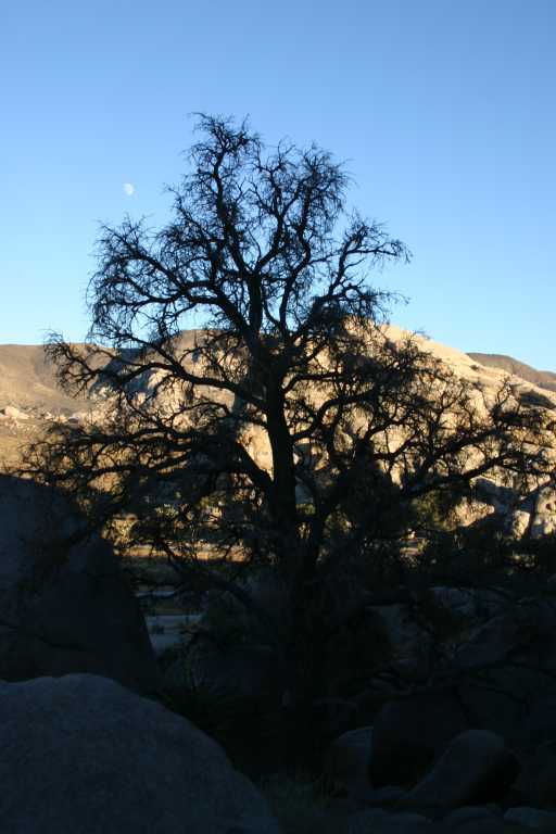 040924_LHJT_036.JPG (47519 Byte)