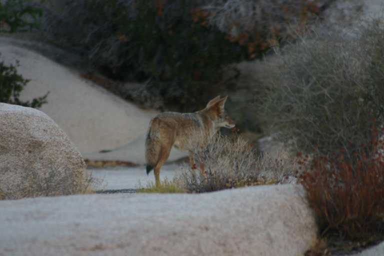 040924_LHJT_038.JPG (32690 Byte)