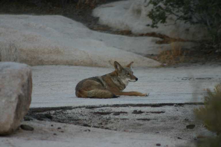 040924_LHJT_040.JPG (33655 Byte)