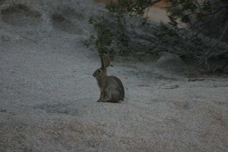 040924_LHJT_041.JPG (39936 Byte)