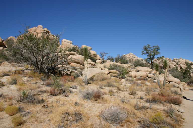 040925_JTNP_003.JPG (55856 Byte)