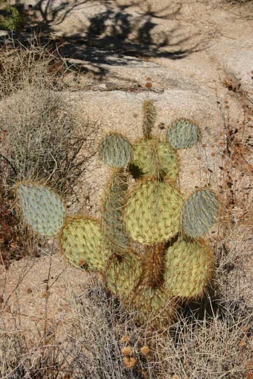 040925_JTNP_004.JPG (92582 Byte)