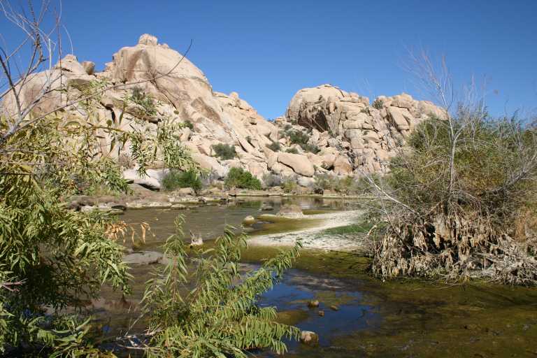 040925_JTNP_005.JPG (75778 Byte)