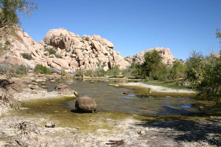 040925_JTNP_006.JPG (66248 Byte)