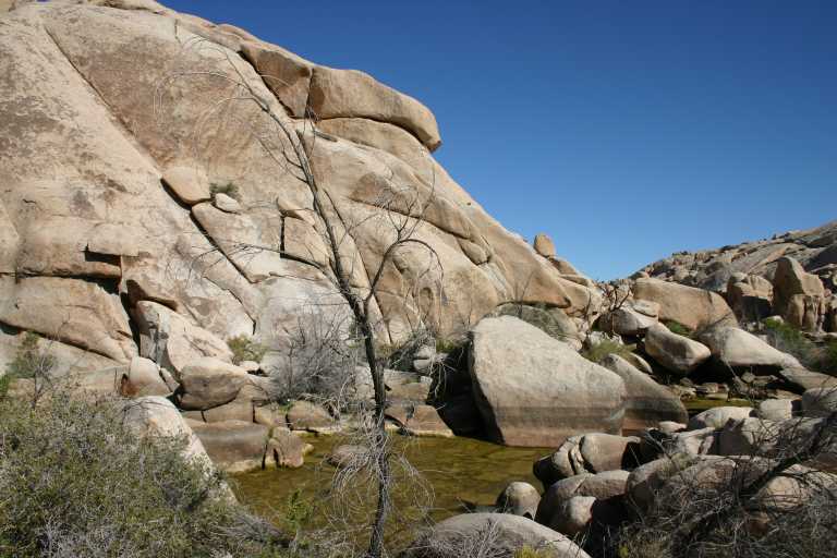 040925_JTNP_007.JPG (64858 Byte)