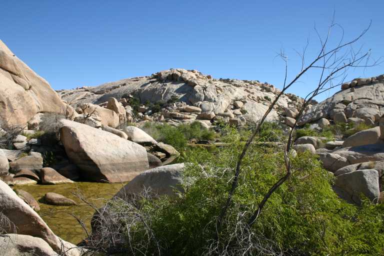 040925_JTNP_008.JPG (69843 Byte)