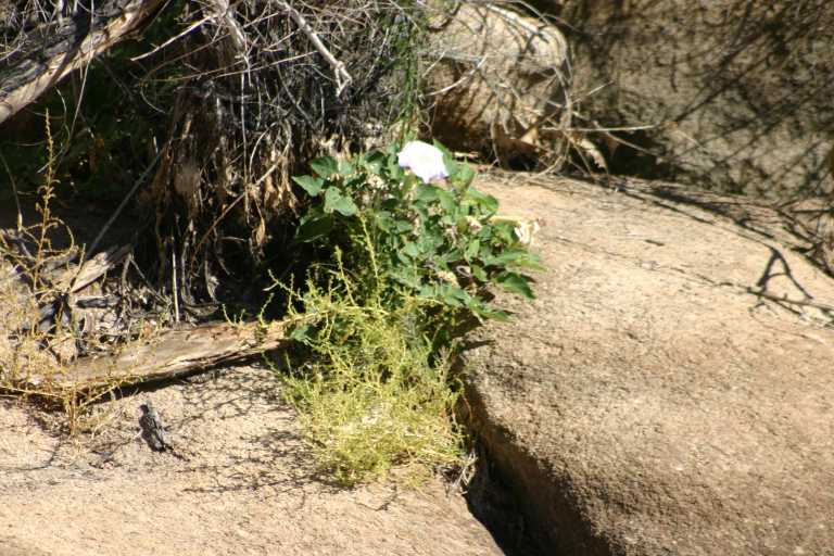 040925_JTNP_009.JPG (84676 Byte)