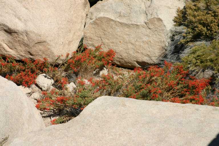 040925_JTNP_010.JPG (74481 Byte)