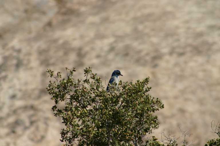 040925_JTNP_011.JPG (42853 Byte)