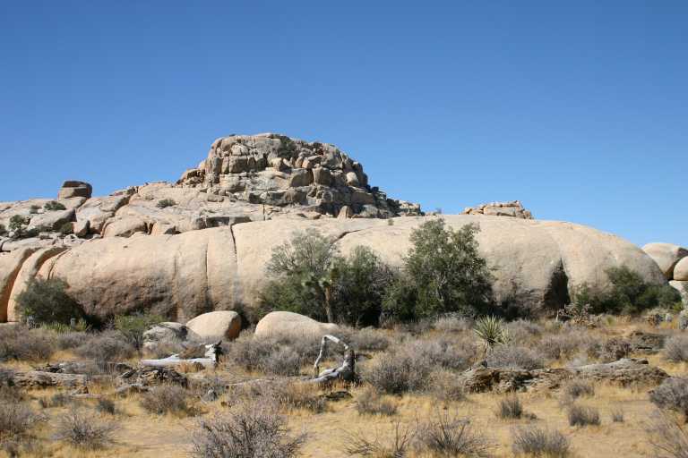 040925_JTNP_013.JPG (52969 Byte)