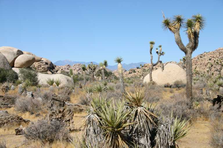 040925_JTNP_014.JPG (61794 Byte)