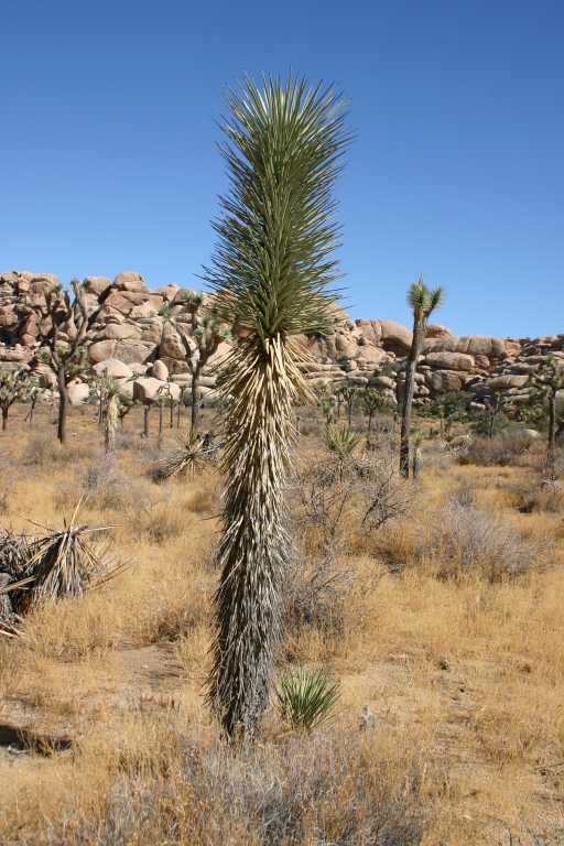 040925_JTNP_015.JPG (65742 Byte)