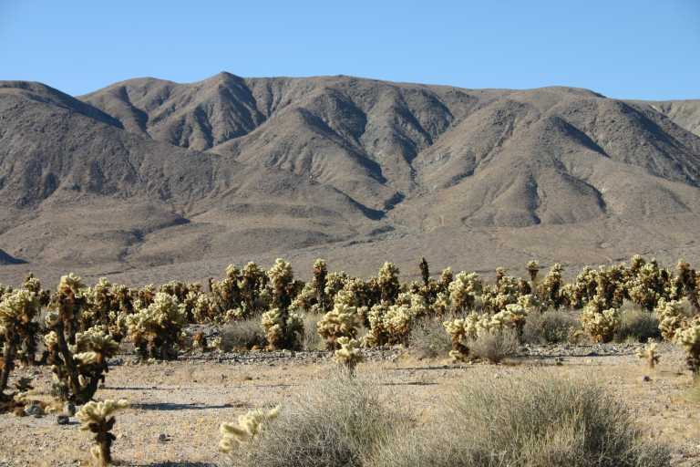 040926_JTCA_004.JPG (68386 Byte)