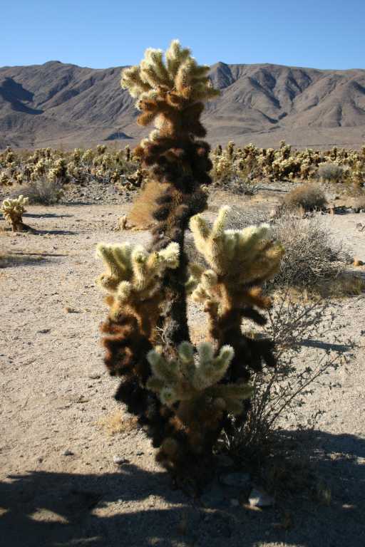 040926_JTCA_005.JPG (66210 Byte)