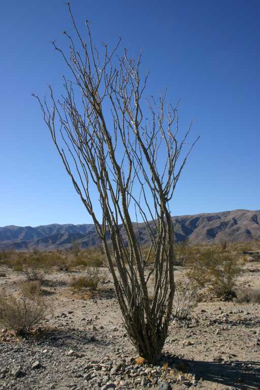 040926_JTCA_007.JPG (63363 Byte)