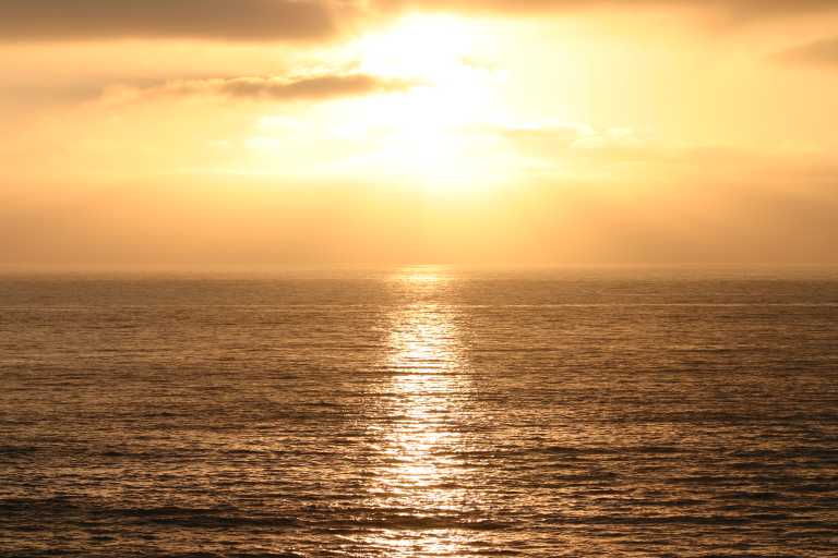 040927_SCAR_010.JPG (49812 Byte)