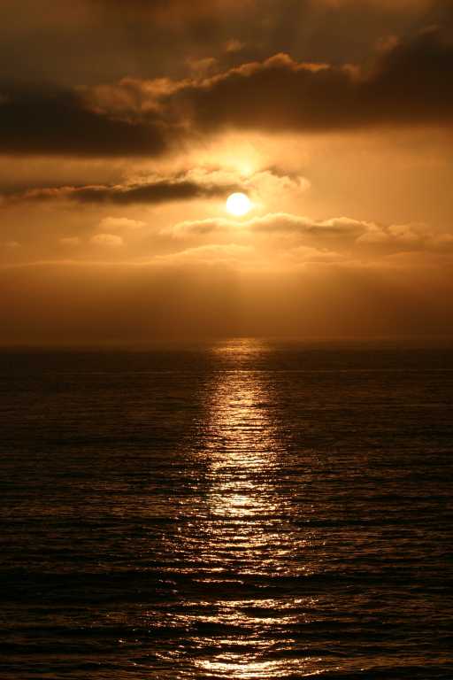 040927_SCAR_011.JPG (41018 Byte)