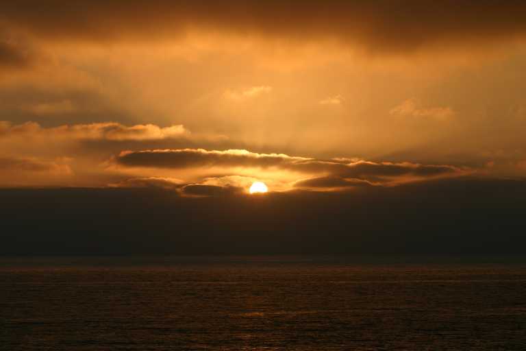 040927_SCAR_015.JPG (22883 Byte)